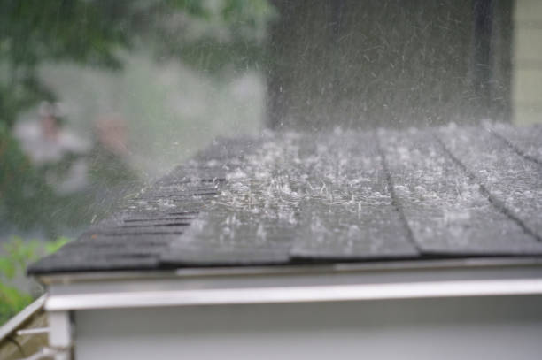 Best Asphalt Shingle Roofing  in Skidaway Island, GA